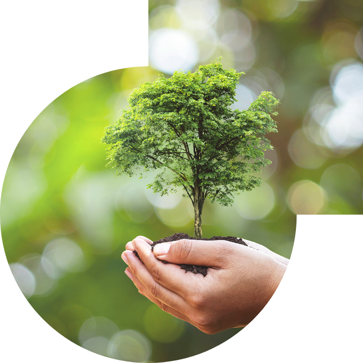 关怀人类、文化、环境与社会